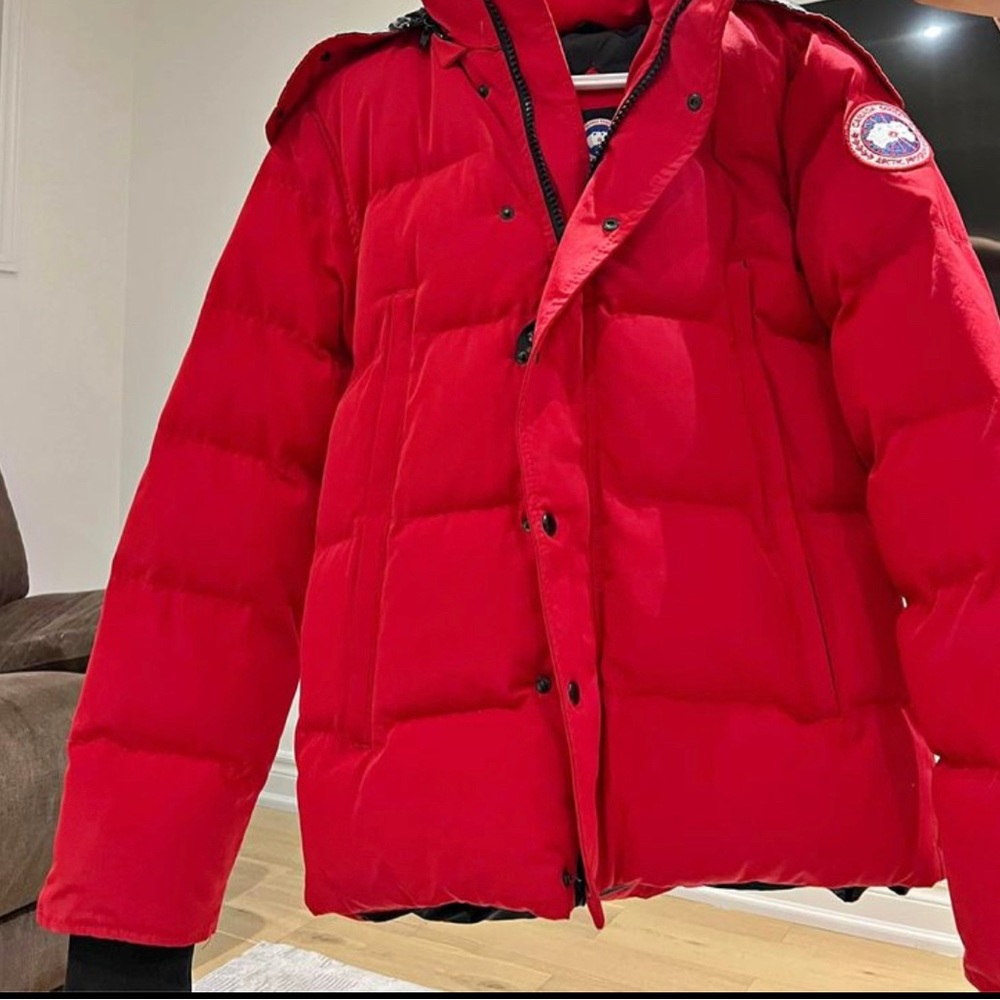 Canada goose, in a good condition.